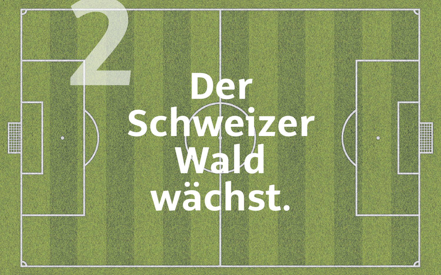 Der Schweizer Wald wächst.